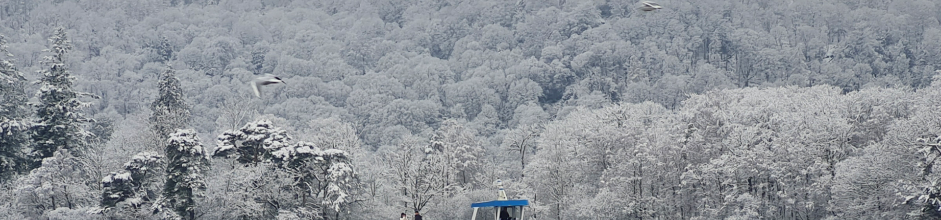 Boat on calm lake with snowy forested hills in the background, wintery and misty atmosphere.