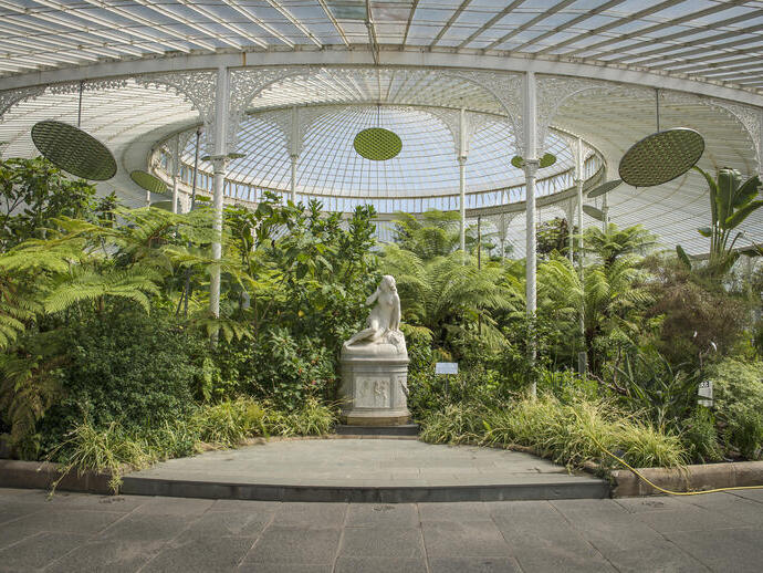 Glasgow Botanic Gardens