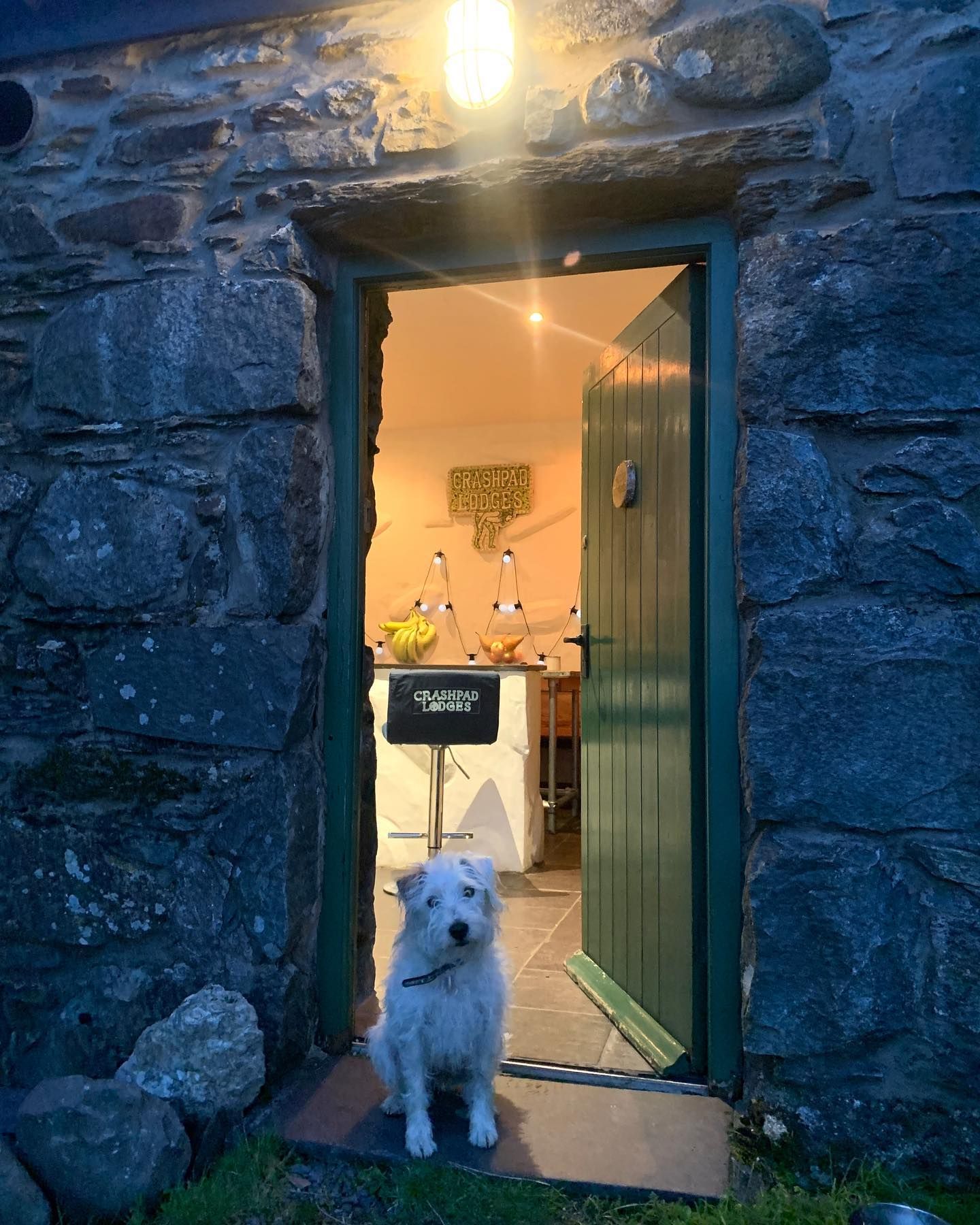 Crashpad Lodges, with white dog at the entrance
