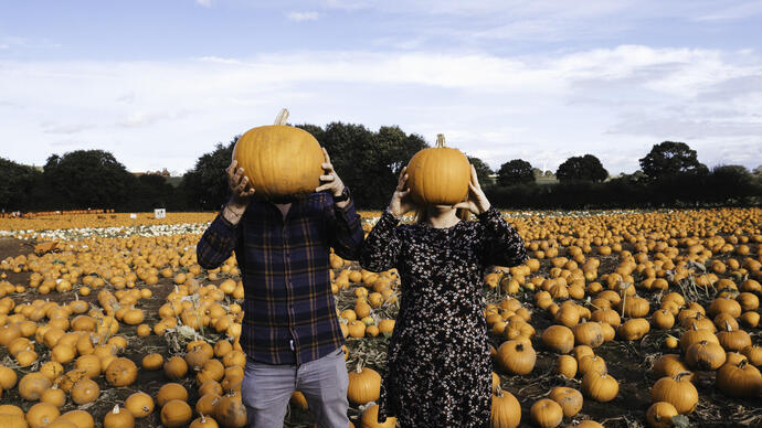 Two people stand in a pumpkin patch, each holding a pumpkin over their head, surrounded by pumpkins and an open field.