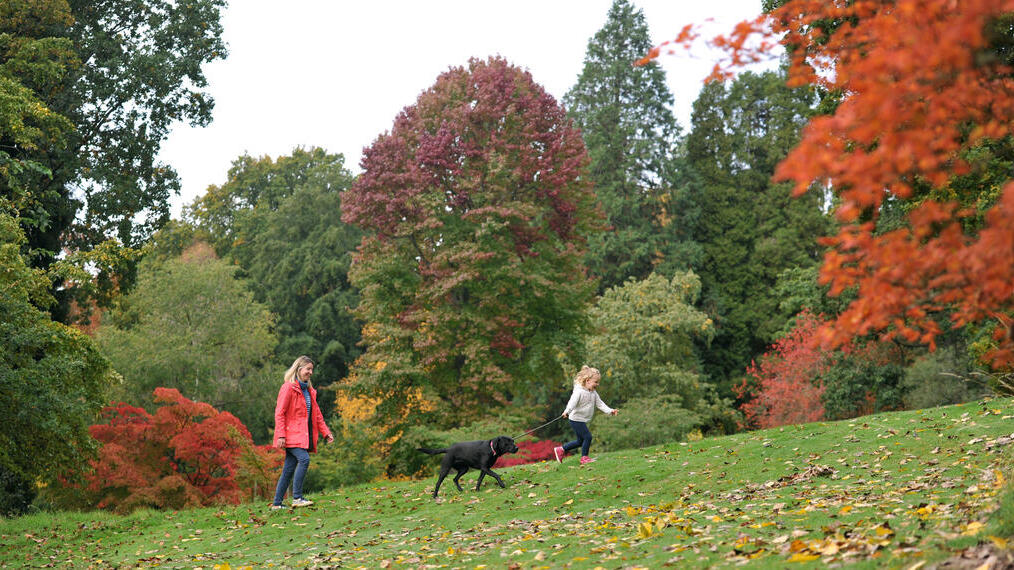 Una mujer y su hija pequeña paseando a su perro negro en el Arboreto de Batsford