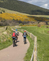 Tweed Valley Railway Path