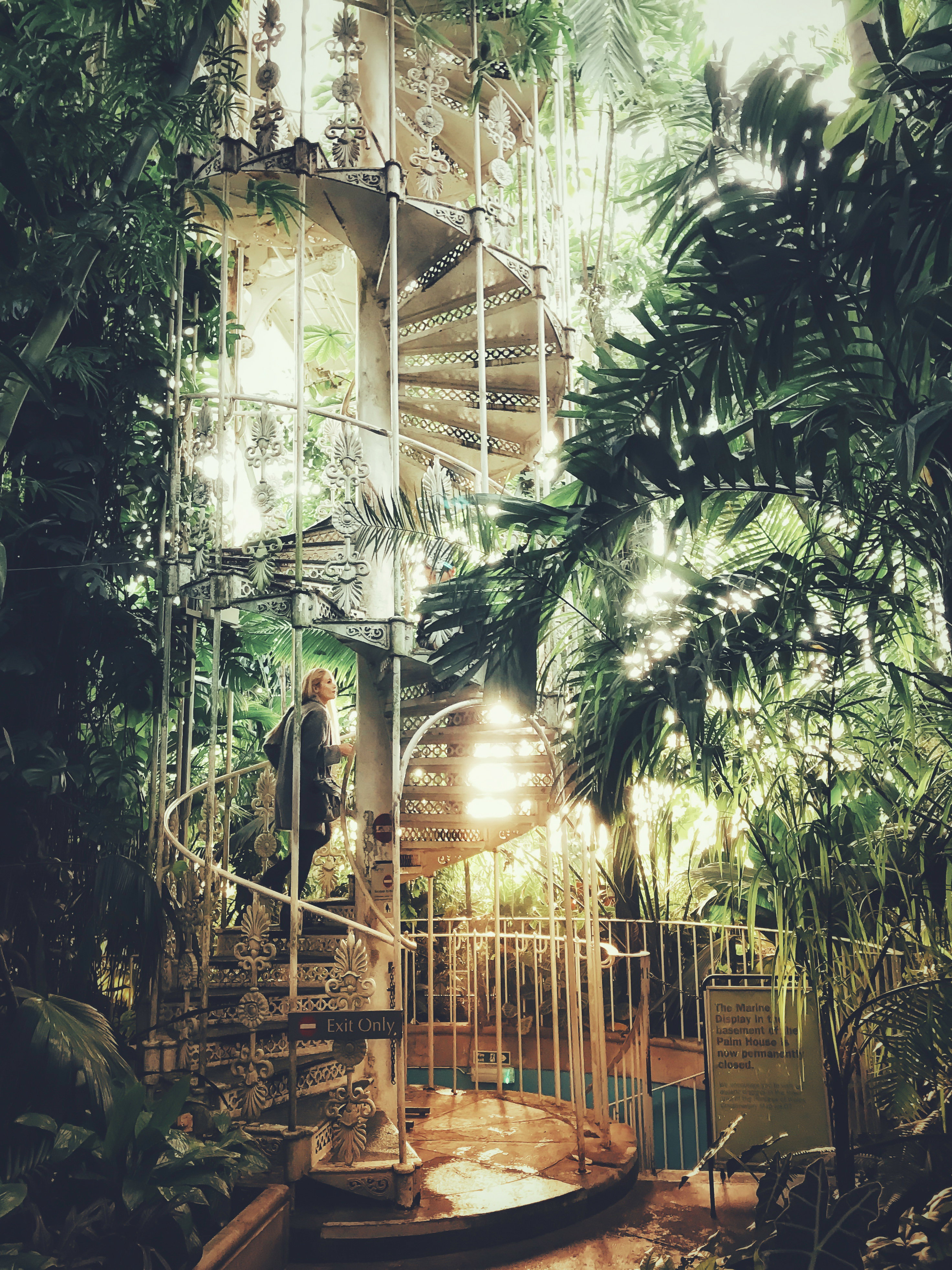 Femme montant l'escalier d'une grande serre remplie de plantes