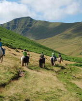Excursión a caballo en el Parque Nacional Brecon Beacons con Cantref Riding Centre, Cantref, Monmouthshire