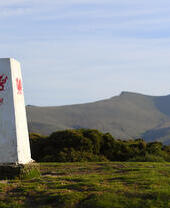 Señal con forma de dragón en medio de un gran campo.