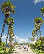 Gente paseando por los jardines en un día soleado.