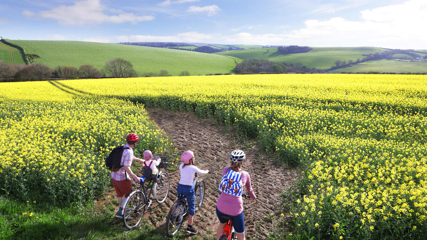 Familia en bicicleta contemplando el horizonte en verano a través de un campo