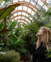 A person looking up while standing in a lush indoor greenhouse filled with various tropical plants and green foliage.