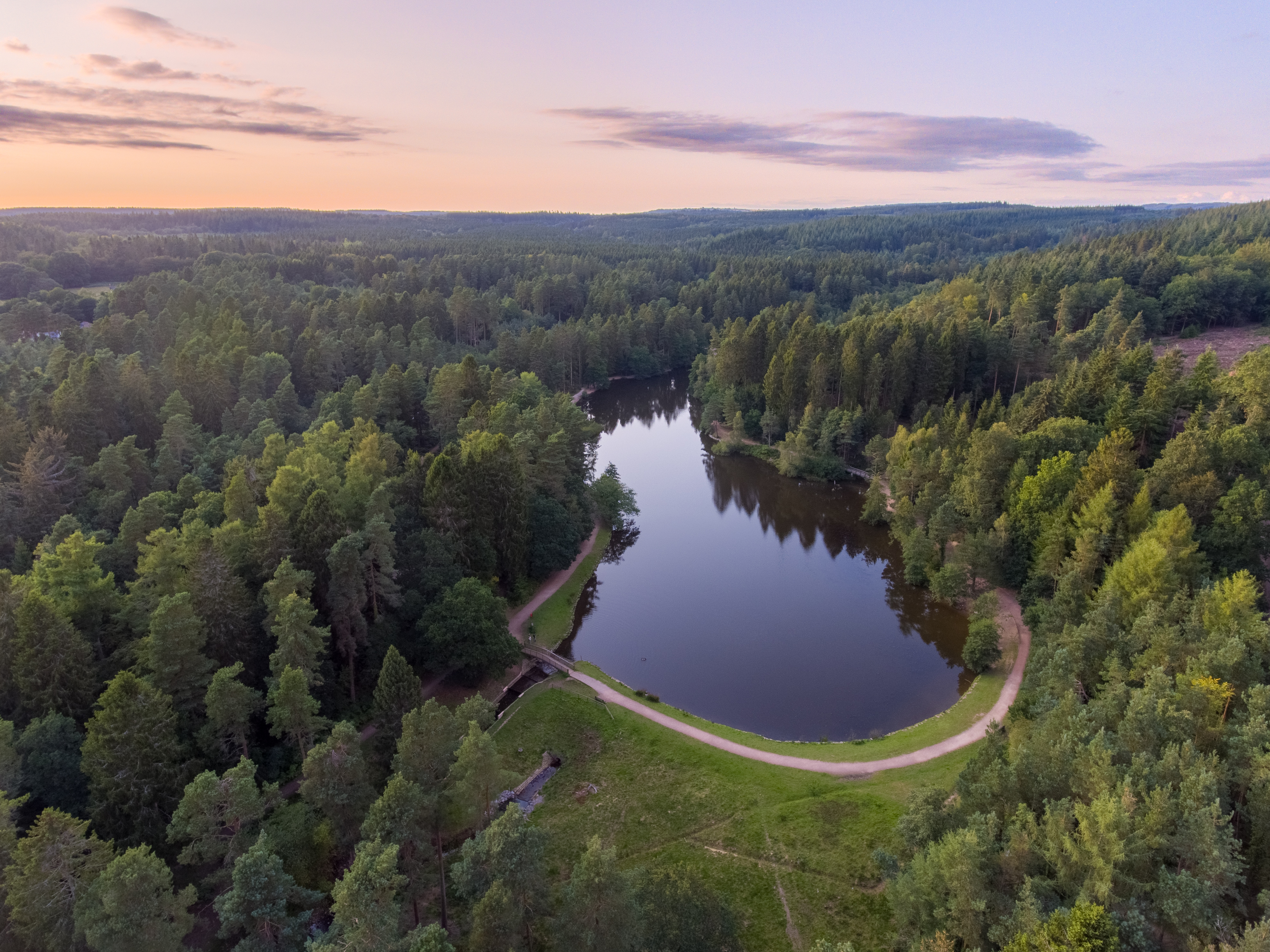 Vue panoramique d'une grande forêt et de sa rivière sinueuse.