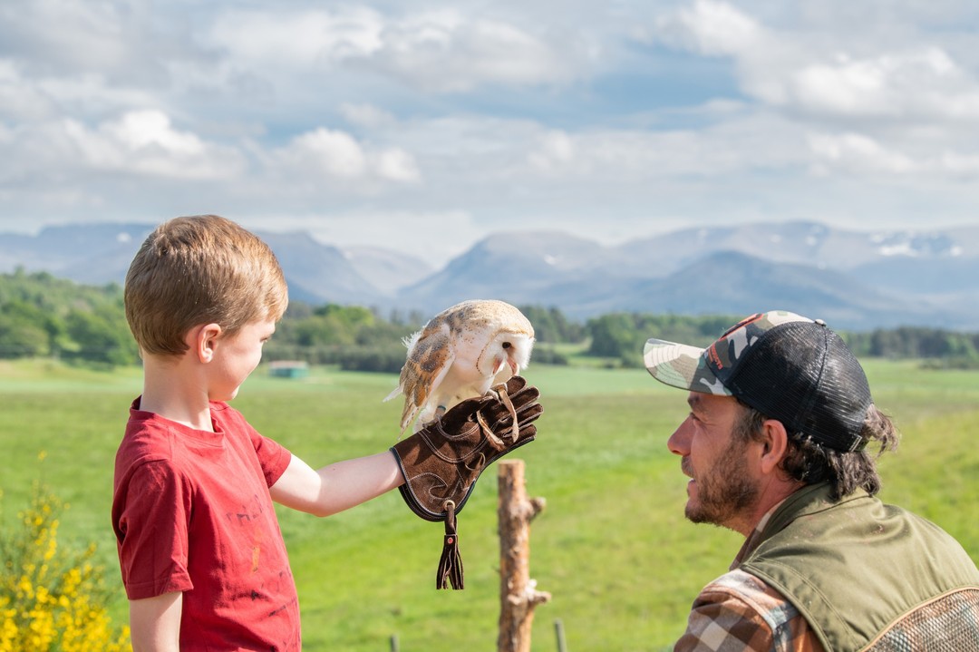 Garçon tenant un hibou à la fauconnerie de Rothiemurchus