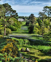 Eine Totale des Antony Woodland Garden in Cornwall