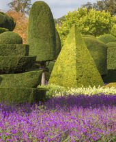 Colourful flower beds in a bright garden with trimmed hedges