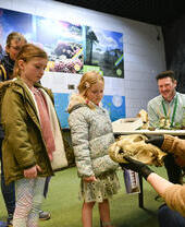 Tullie House Museum & Art Gallery