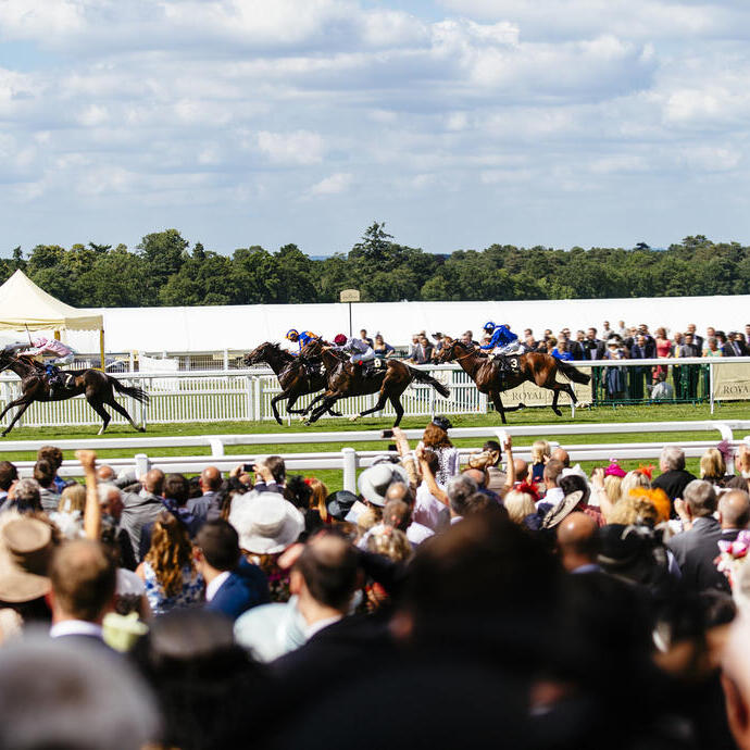 Big group of spectators watching race. Racehorses galloping