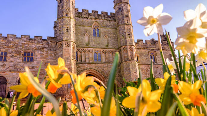 Historic stone abbey gatehouse with twin towers, viewed from below through vibrant yellow and white spring flowers.