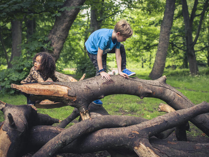 Children climbing over a fallen branch in Heaton Park, Newcastle