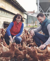 Homme et femme nourrissant des poules dans une ferme