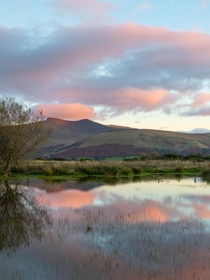 Mynydd Illtyd, près de Libanus, géoparc mondial UNESCO de Fforest Fawr
