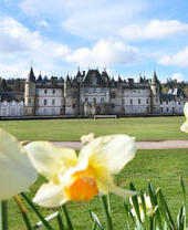 Extérieur d'un manoir gris de style français avec des tourelles, avec des jonquilles au premier plan.