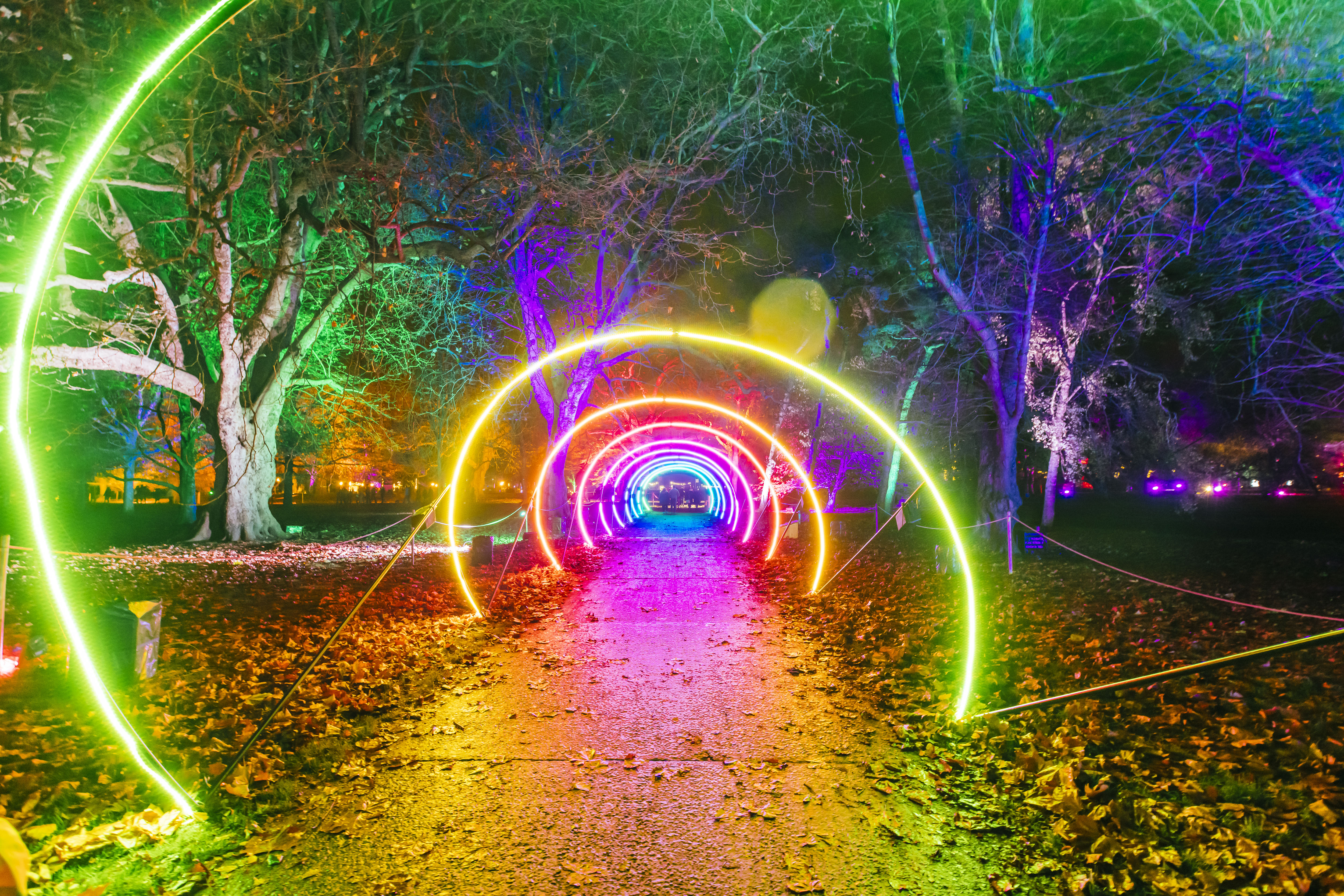 Installazione luminosa colorata lungo un sentiero in un parco di notte