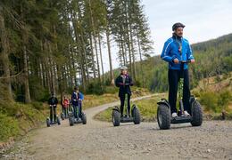Go Ape Grizedale Forest