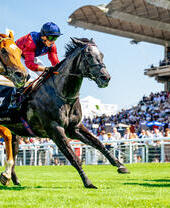 Two racecourses and jockeys galloping flat out in front of a grandstand.