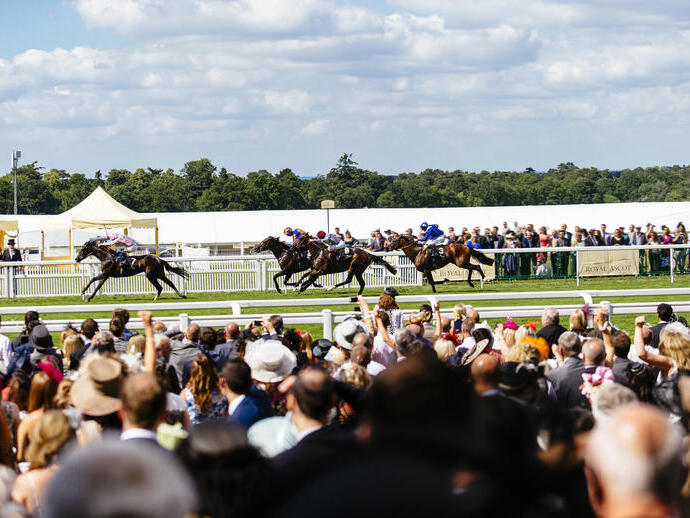 Big group of spectators watching race. Racehorses galloping