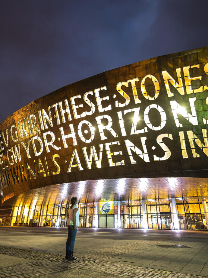 Une personne levant les yeux vers la façade d'un bâtiment en bronze la nuit