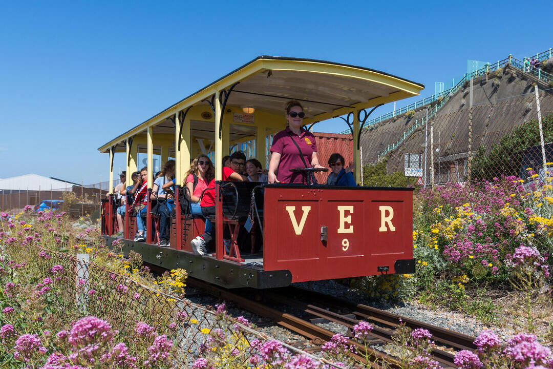 train with people on board, in the summer