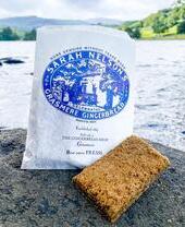 Closeup of Grasmere Gingerbread on a rock by a lakeside
