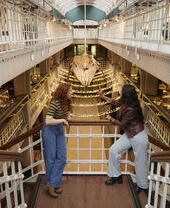 Deux femmes discutent et rient en visitant l'exposition préhistorique dans un grand musée.