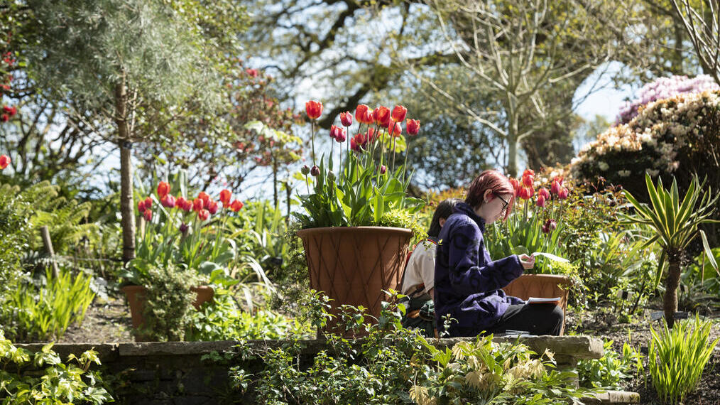 People resting in a garden setting.