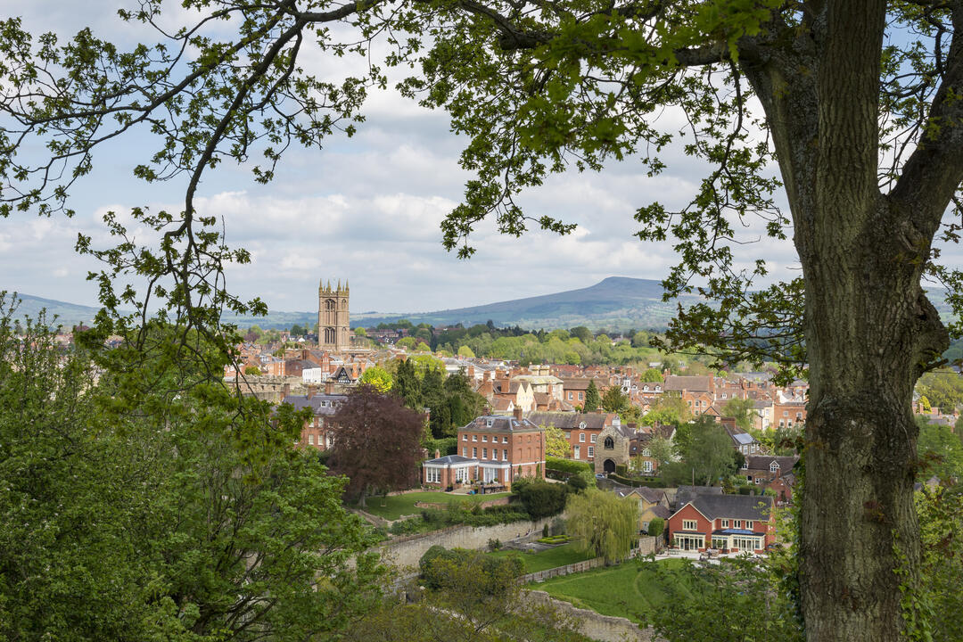 Beautiful old town taken from under a mature tree, with a church tower in the distance
