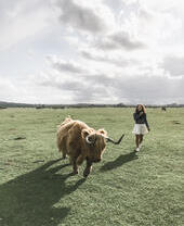 Girl, in a white skirt, walking beside a Highland cow