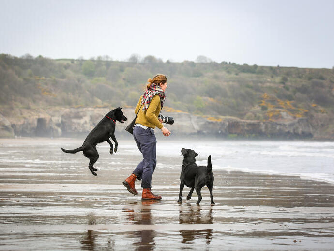 Mujer y dos perros en una playa