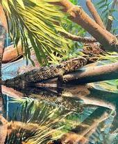 Casa de los reptiles, zoológico de Londres