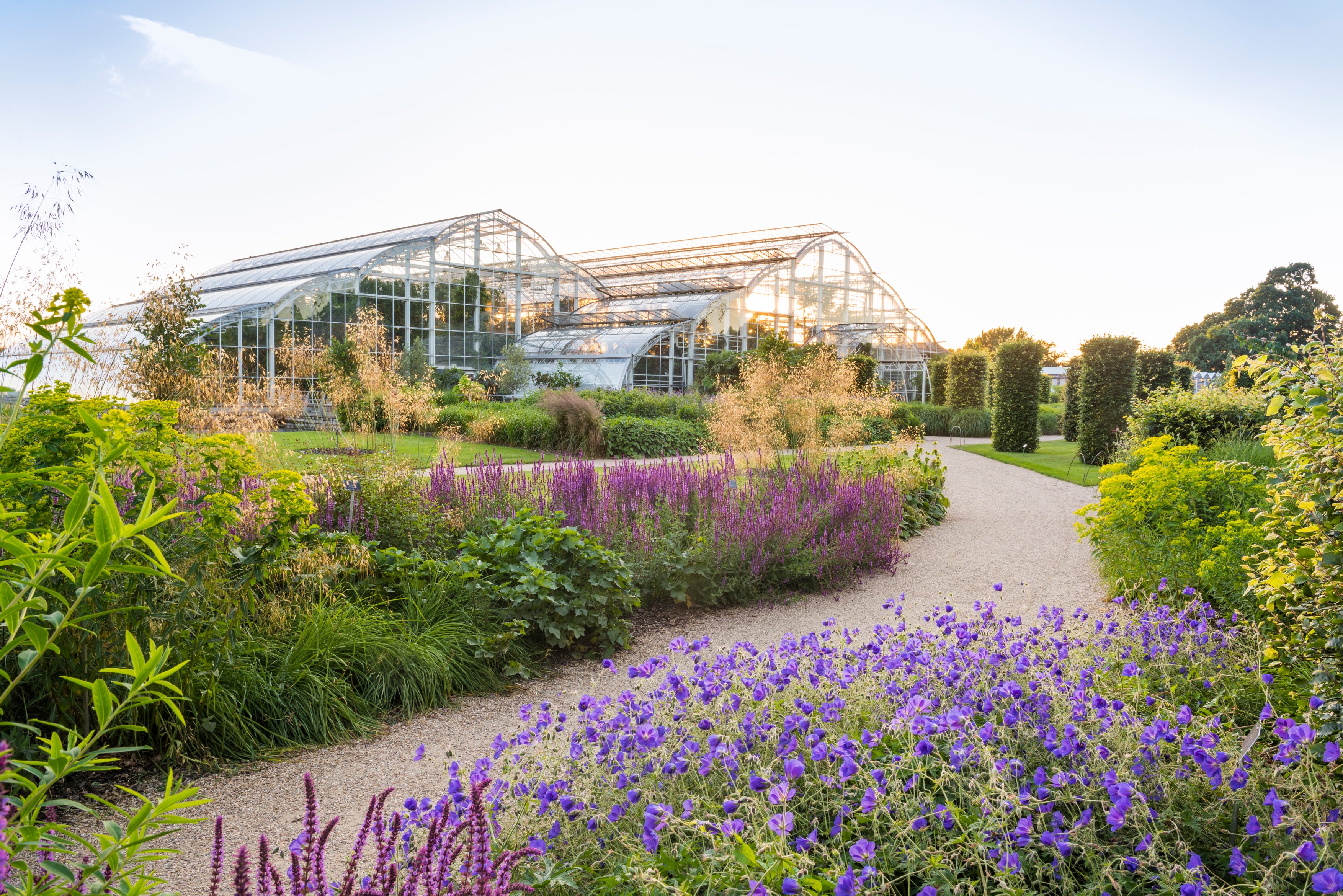 Garden with floral borders and a path leading to a glasshouse