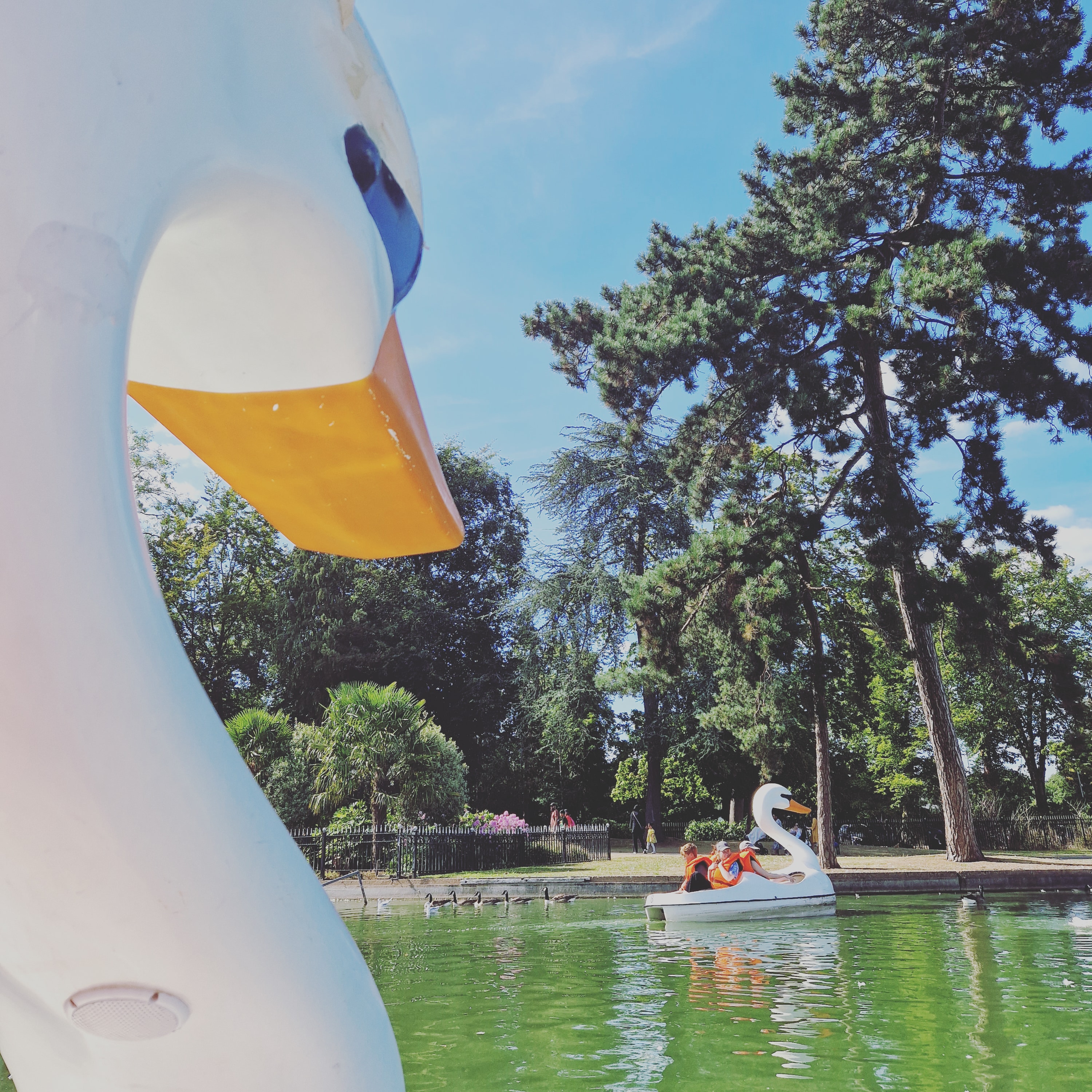 Boating in Cannon Hill Park, Edgbaston, Birmingham, West Midlands