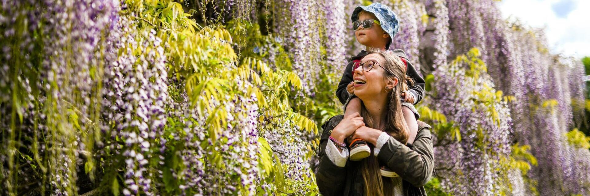 Woman and child looking at tree blossom