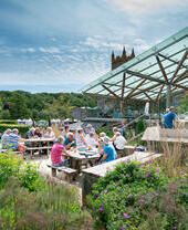 Personnes assises à des tables de pique-nique dans un jardin par une journée ensoleillée