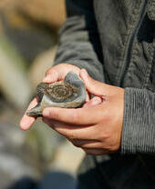 Côte des North York Moors