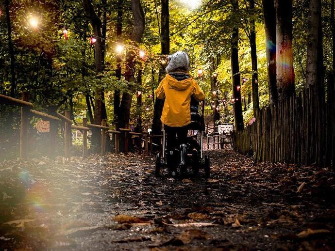 Persona con impermeabile che spinge un passeggino lungo un sentiero nel bosco