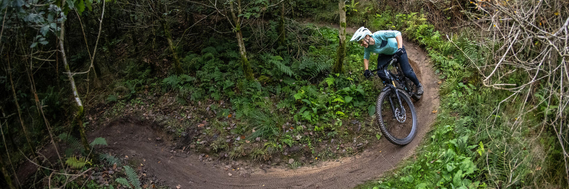 A cyclist riding through trees along a purpose built adventure cycle path in a large forest.