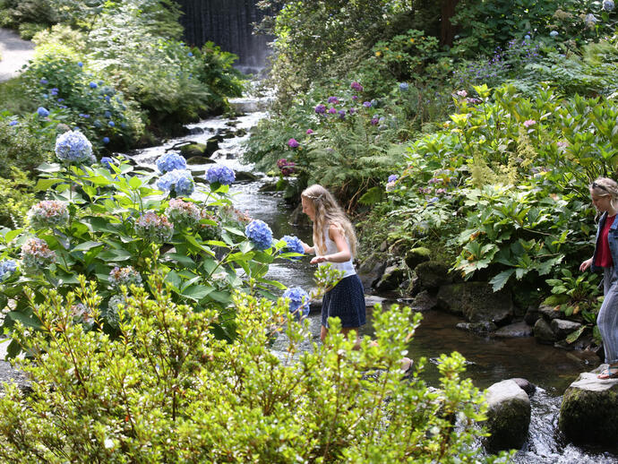 Friends crossing a stream in a floral garden.