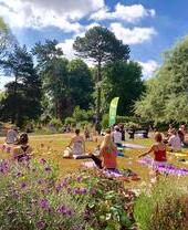 Groups of people taking a yoga session in a park on the Jurassic Coast