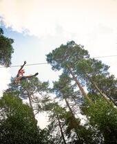 Una toma desde abajo de una persona en una tirolina en Go Ape, en Birmingham