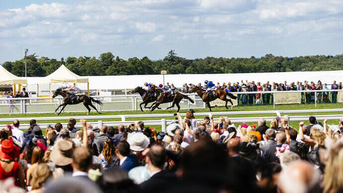 Grand groupe de spectateurs regardant une course. Chevaux de course au galop