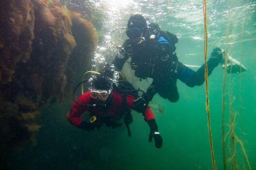 Plongée sous-marine à Scapa Flow