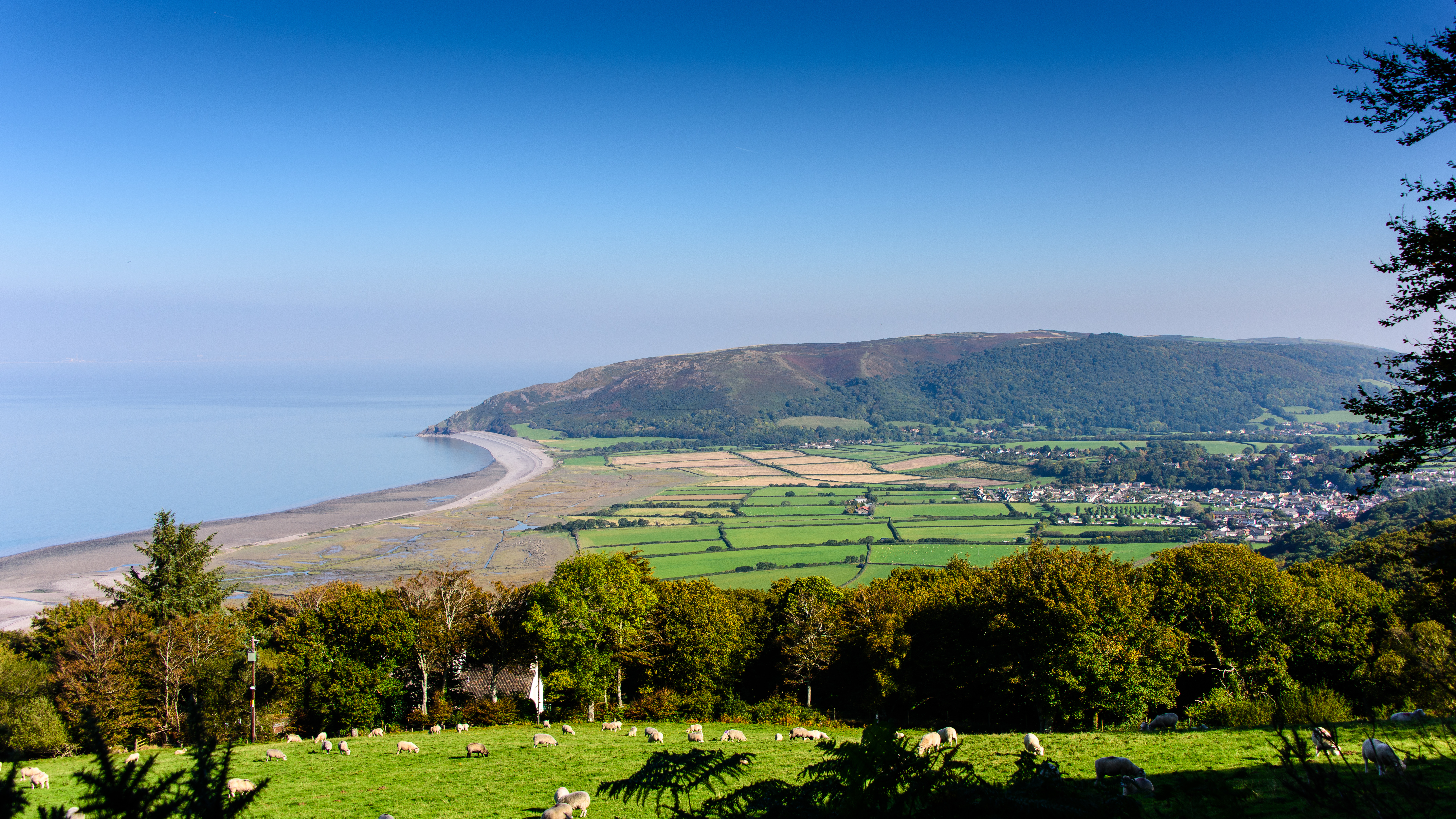 View of the coast with sheep grazing nearby