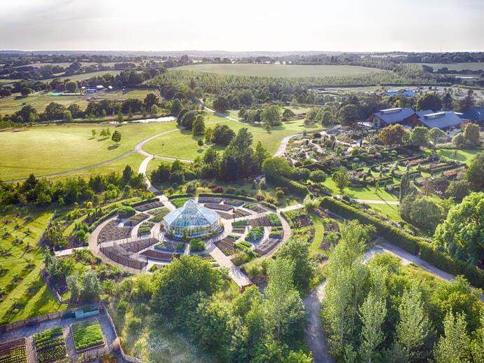 Aerial view of gardens in the summer